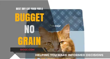 Affordable Grain-Free Dry Cat Food Options: A Comprehensive Guide for Budget-Conscious Pet Owners
