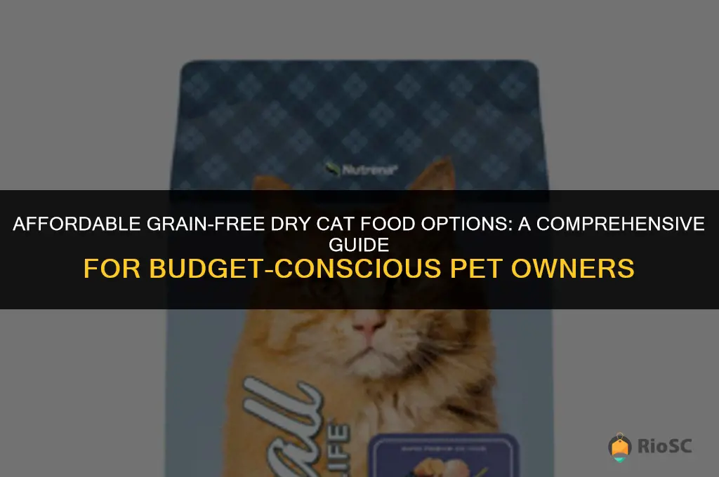 best dry cat food for a bugget no grain