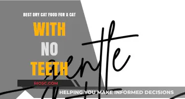 Gentle Bites: Top Dry Cat Food Picks for Toothless Felines