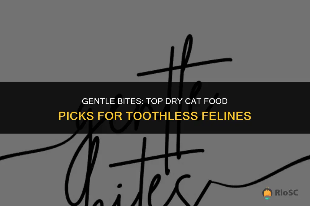 best dry cat food for a cat with no teeth