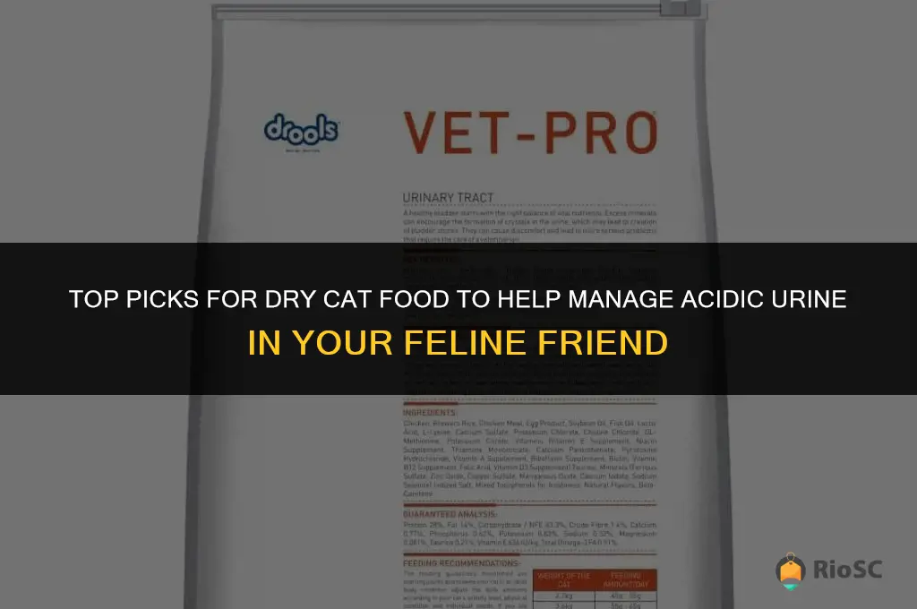 best dry cat food for acidic urine