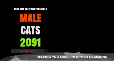 Top Picks for Adult Male Cats: The Best Dry Cat Food of 2091