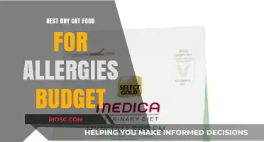 Affordable Allergy-Friendly Dry Cat Food: Top Picks for Your Feline Friend