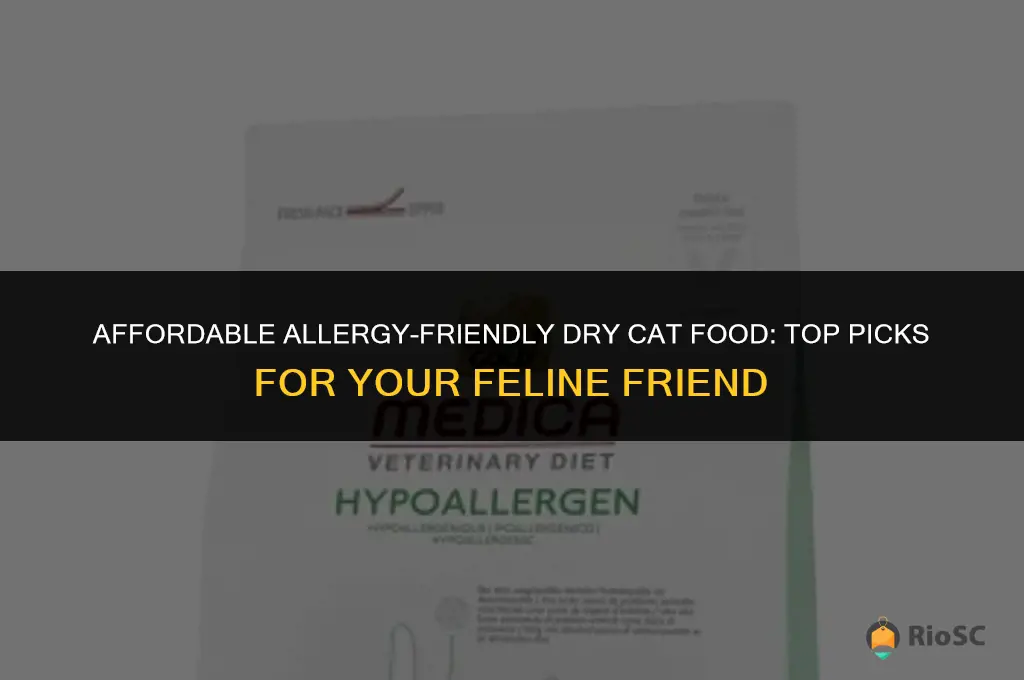 best dry cat food for allergies budget