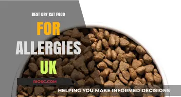 Top Picks for Hypoallergenic Dry Cat Food in the UK: A Comprehensive Guide for Allergy-Prone Felines