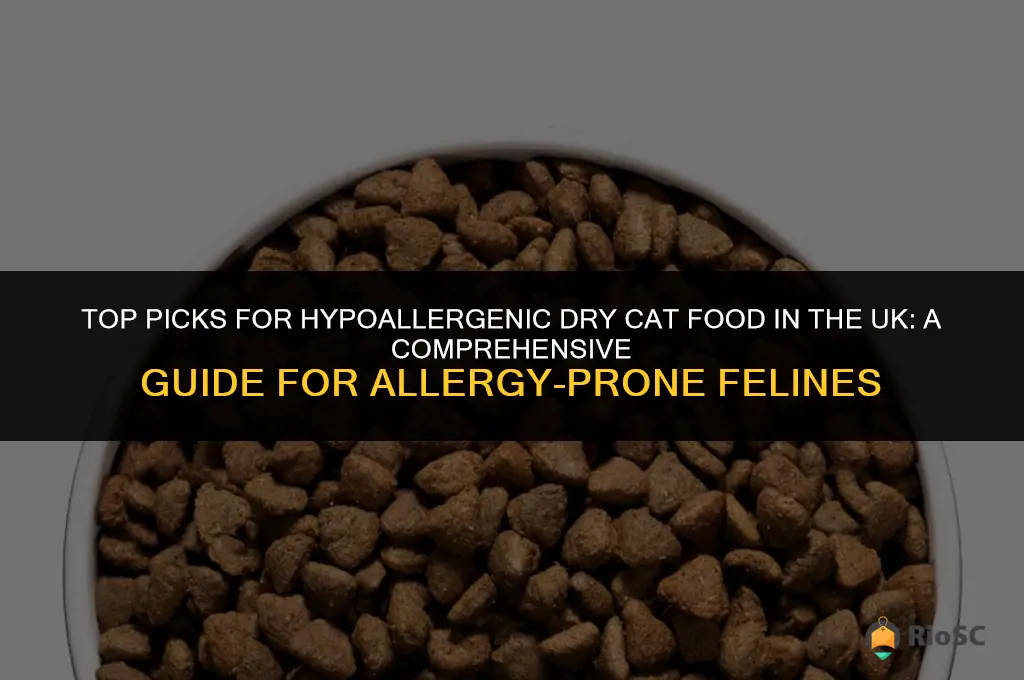 best dry cat food for allergies uk