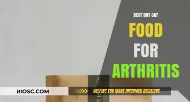 Top Picks for Feline Joint Health: The Best Dry Cat Food Options for Arthritis Management
