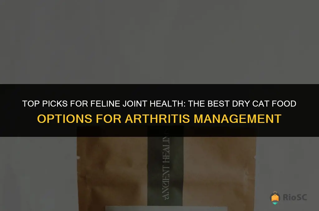 best dry cat food for arthritis