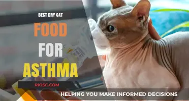 Top Picks for Dry Cat Food to Help Manage Asthma Symptoms in Your Feline Friend
