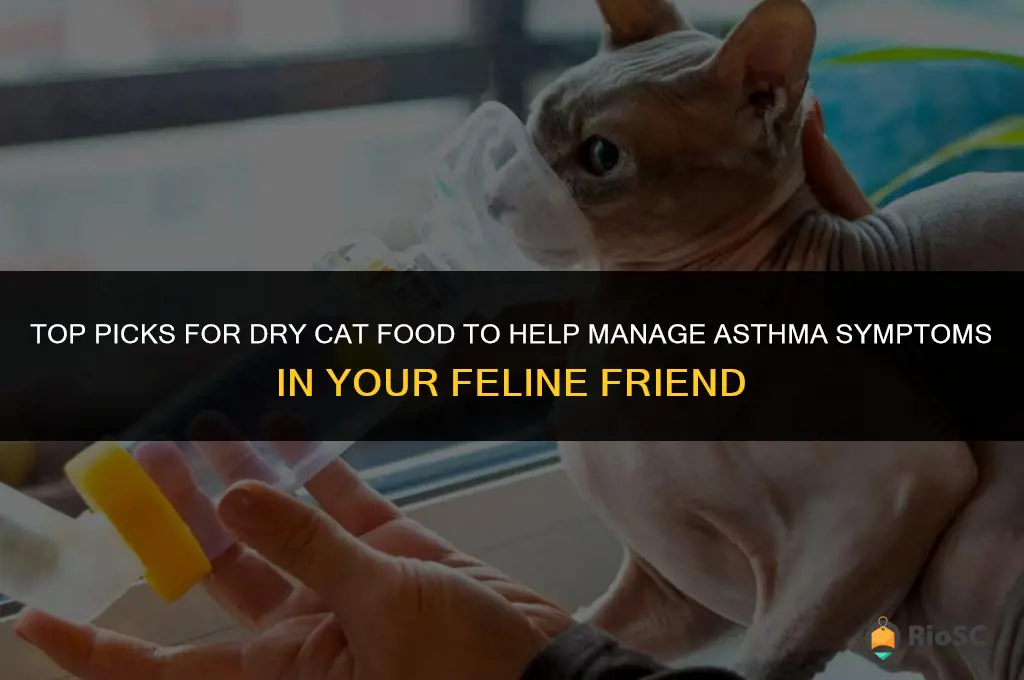 best dry cat food for asthma