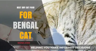 Top Picks for Bengal Cats: The Best Dry Cat Food Options