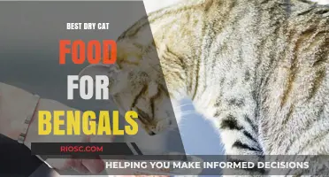 Top Picks: Premium Dry Cat Food Options for Bengal Cats