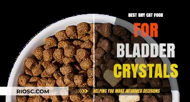 Top Picks for Dry Cat Food to Prevent Bladder Crystals: A Comprehensive Guide
