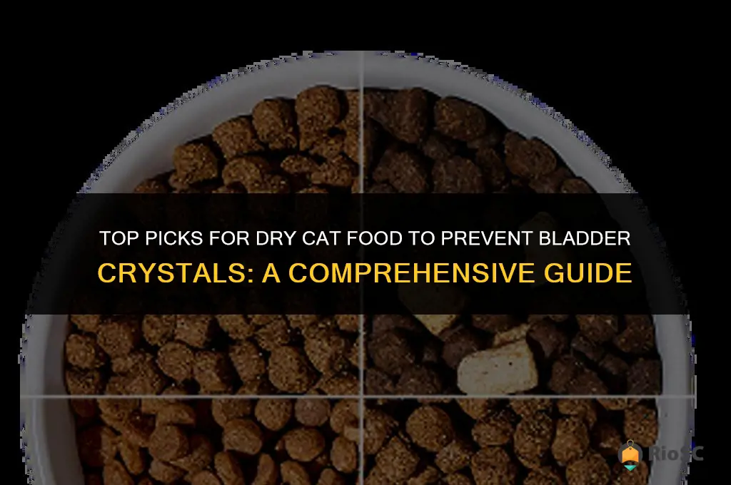 best dry cat food for bladder crystals