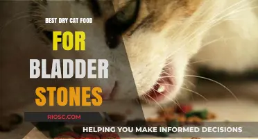 Top Picks for Dry Cat Food to Help Prevent Bladder Stones