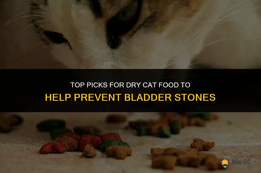 best dry cat food for bladder stones