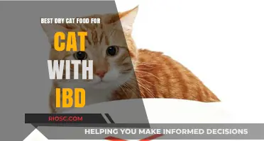 Top Picks for Dry Cat Food to Manage IBD in Cats