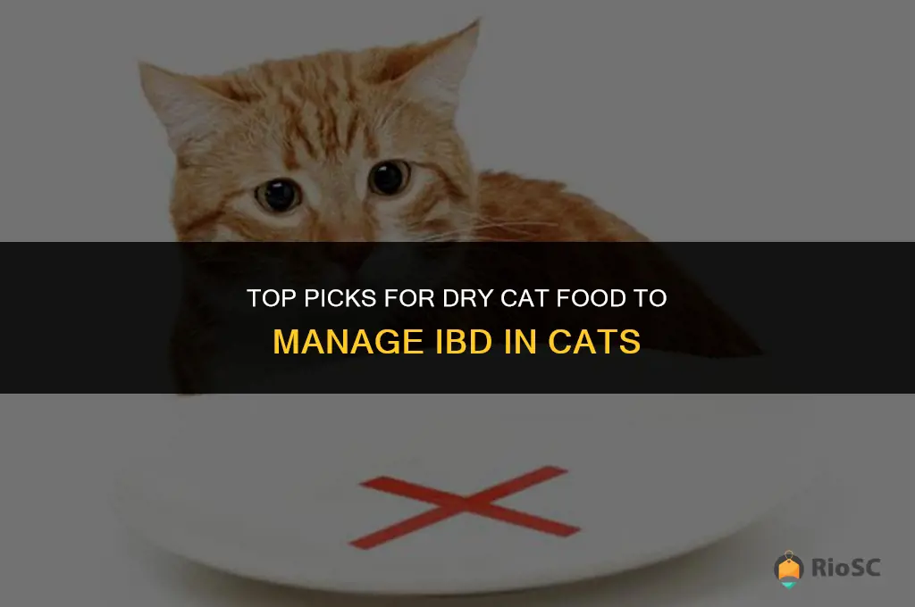 best dry cat food for cat with ibd