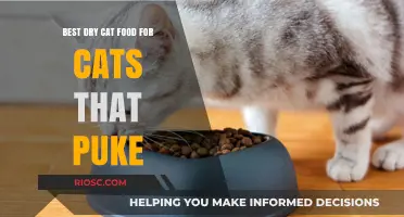 Top Picks for Sensitive Stomachs: The Best Dry Cat Food for Cats That Puke