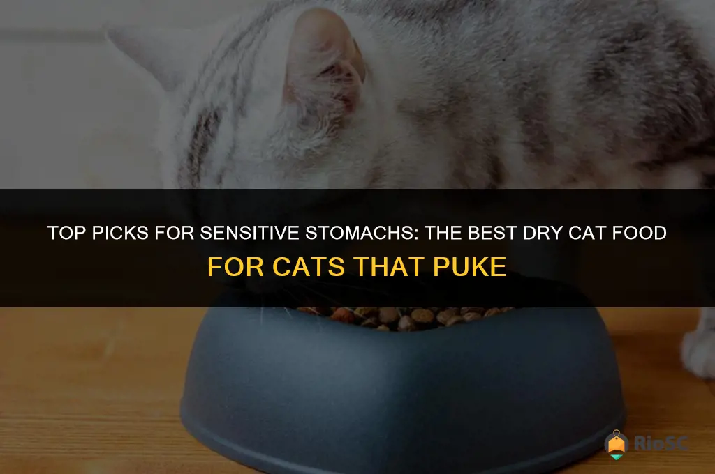 best dry cat food for cats that puke