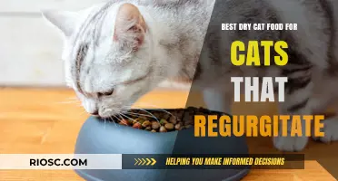 Top Picks for Sensitive Stomachs: The Best Dry Cat Food to Reduce Regurgitation in Cats