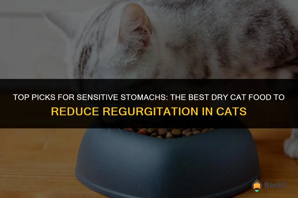 best dry cat food for cats that regurgitate