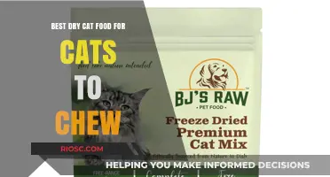 Top Picks for Your Feline Friends: The Best Dry Cat Food for Cats to Chew