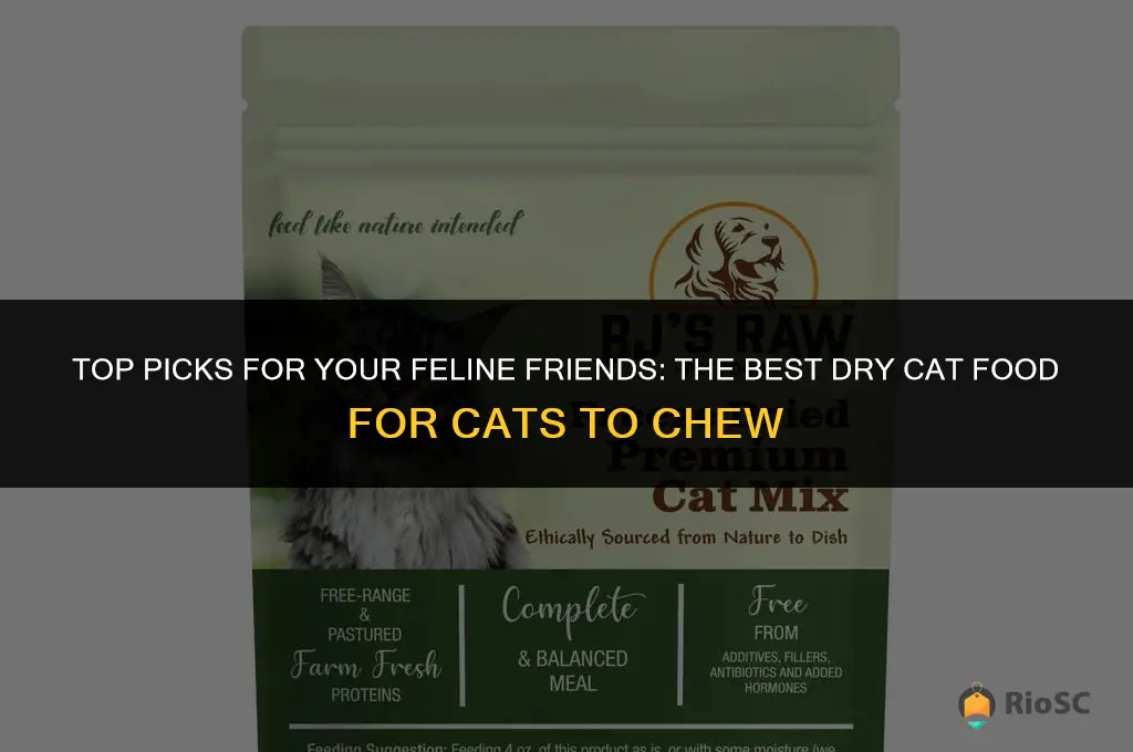 best dry cat food for cats to chew