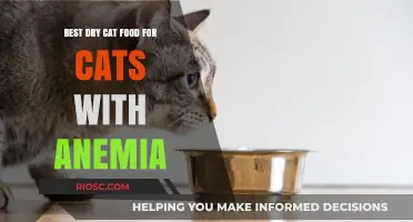 Top Picks for Dry Cat Food to Combat Feline Anemia