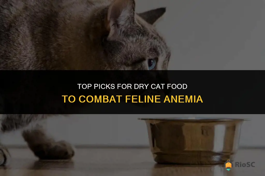 best dry cat food for cats with anemia