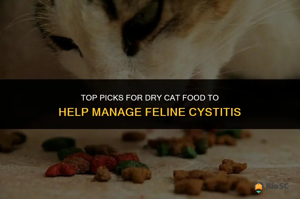 best dry cat food for cats with cystitis