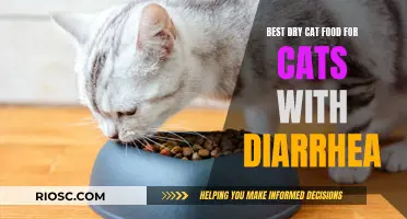 Top Picks for Sensitive Stomachs: The Best Dry Cat Food to Soothe Diarrhea in Cats