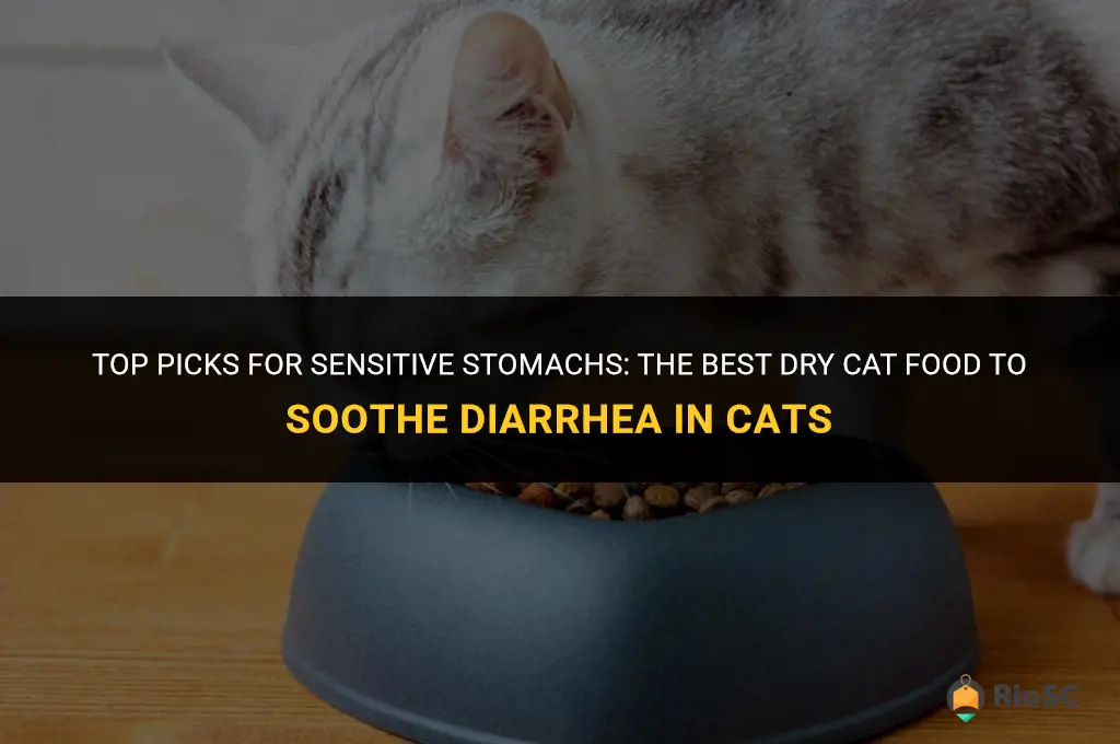 best dry cat food for cats with diarrhea