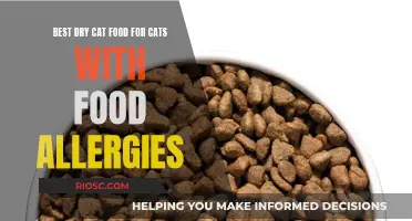 Top Hypoallergenic Dry Cat Food Options for Sensitive Felines