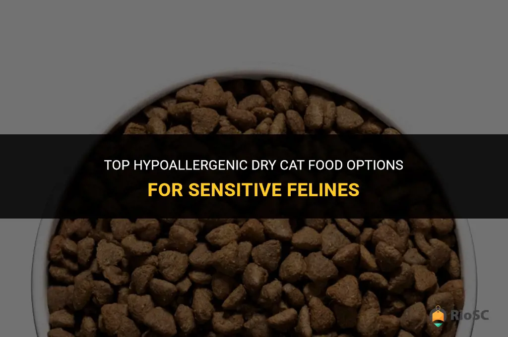 best dry cat food for cats with food allergies