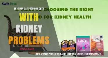 Top Picks for Dry Cat Food Supporting Kidney Health in Felines