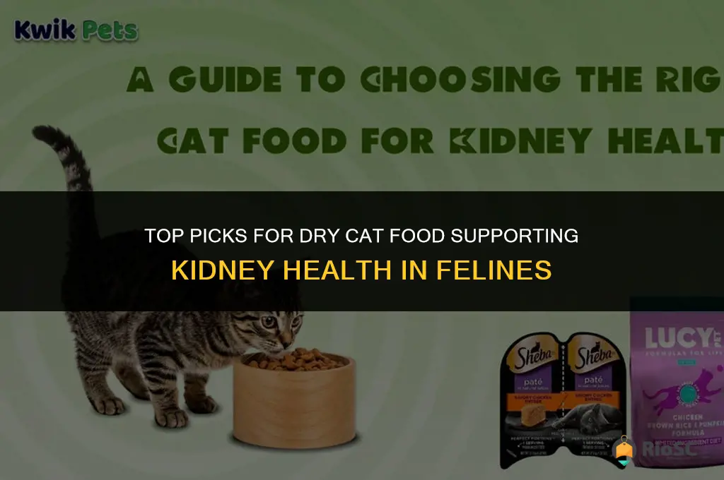best dry cat food for cats with kidney problems