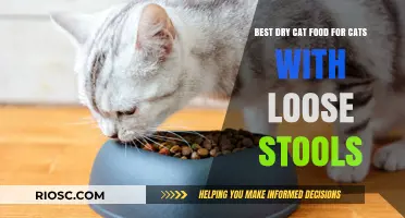 Top Picks for Tummy-Friendly Dry Cat Food: Soothing Sensitive Stomachs and Loose Stools in Cats