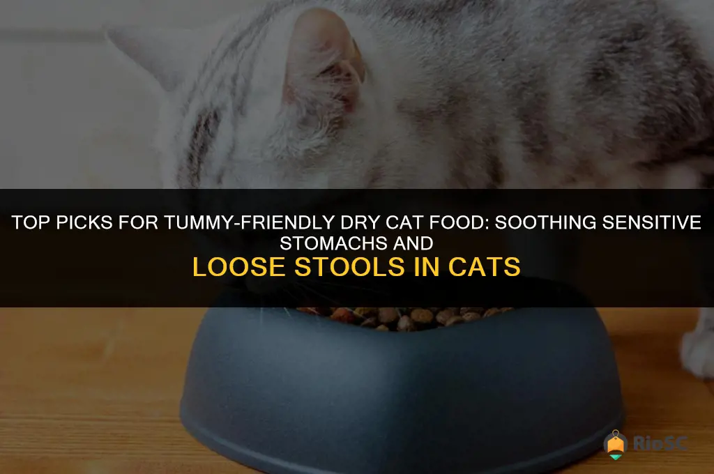 best dry cat food for cats with loose stools