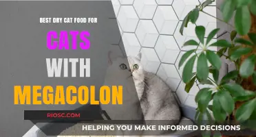 Top Picks for Dry Cat Food to Support Cats with Megacolon