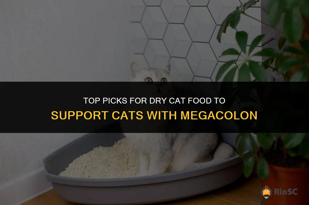best dry cat food for cats with megacolon