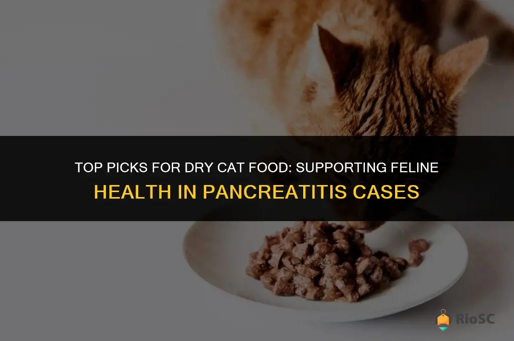 best dry cat food for cats with pancreatitis