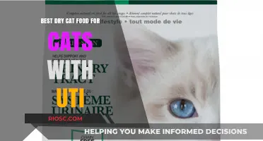 Top Picks for Dry Cat Food to Support Cats with Urinary Tract Issues