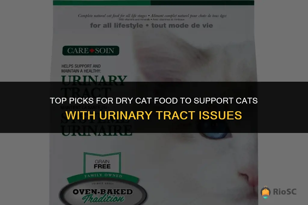 best dry cat food for cats with uti