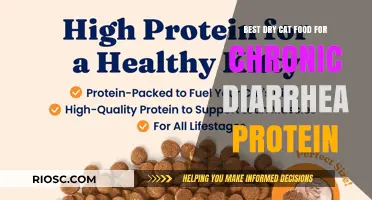 Top Protein-Rich Dry Cat Food Options for Managing Chronic Diarrhea