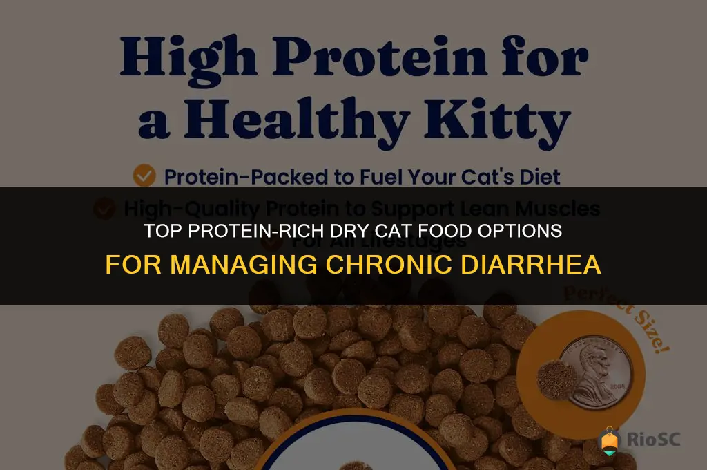 best dry cat food for chronic diarrhea protein