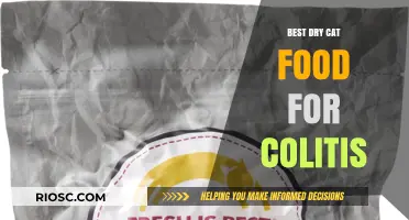 Top Picks for Soothing Dry Cat Food for Feline Colitis Sufferers