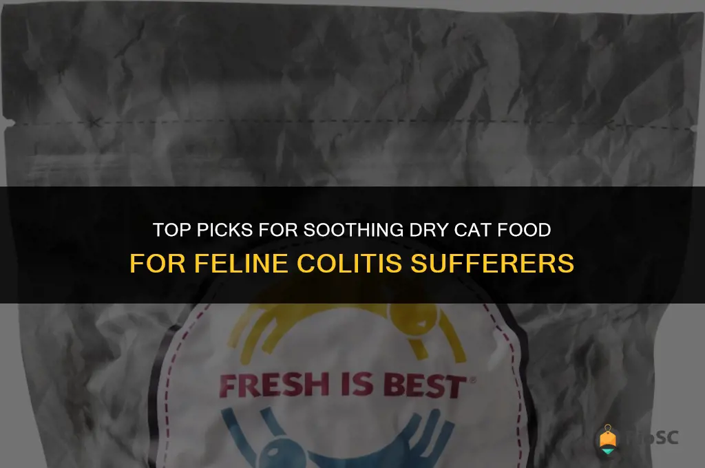 best dry cat food for colitis