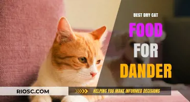 Top Picks for Dander-Reducing Dry Cat Food: A Comprehensive Guide