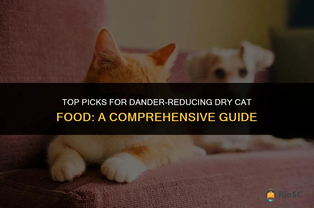 best dry cat food for dander